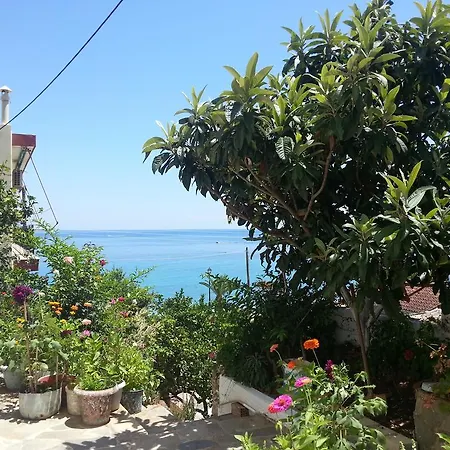 Guest house Friderica House 3*