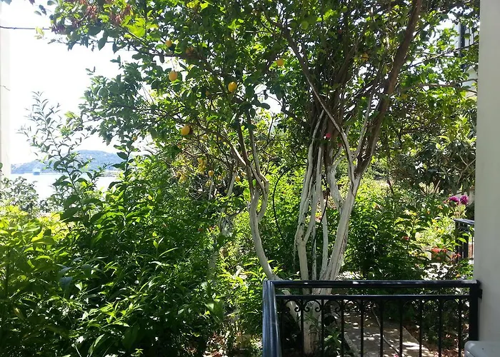 Guest house Friderica House