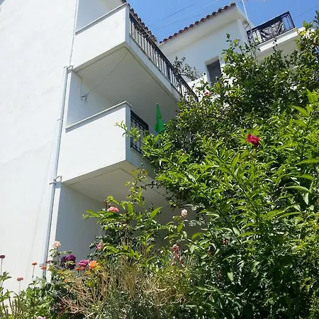 Pensión Friderica House