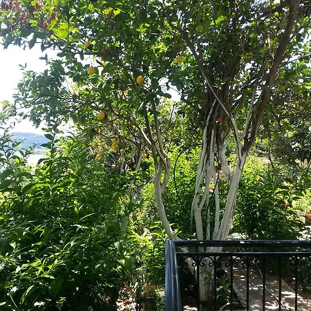 Gasthof Friderica House