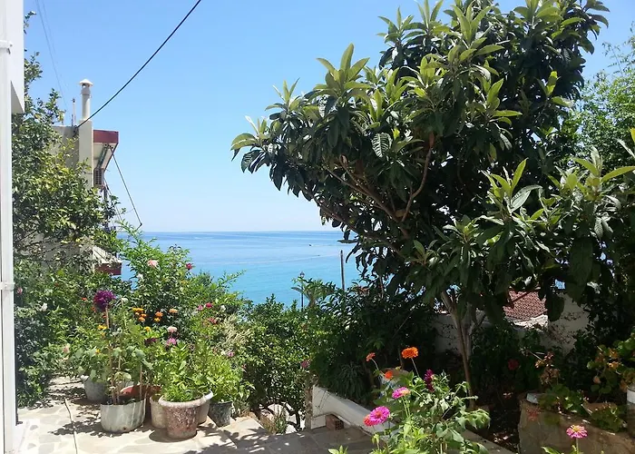 Guest house Friderica House 3*